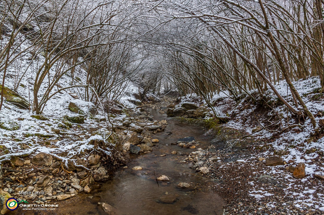 In attesa della neve al Canto Alto-10.JPG